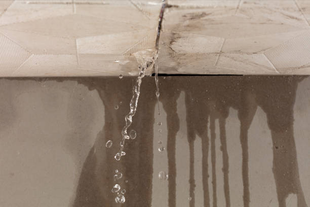 Professional Sewage Cleanup technician working in Albany, IN